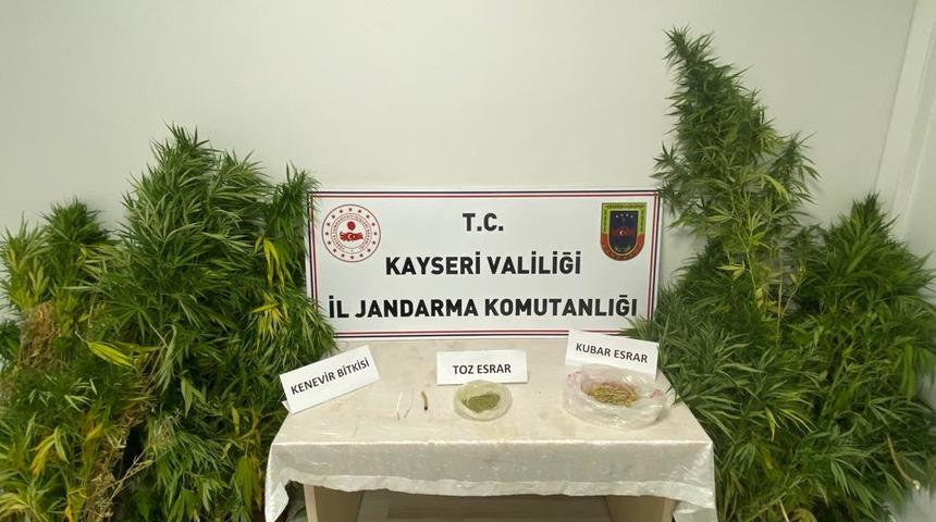 Kayseri'de evinde Hint keneviri yetiştiren kişi yakalandı