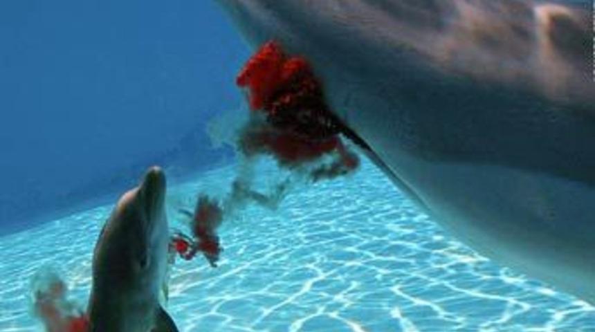 Yunusun doğum anı g&ouml;r&uuml;nt&uuml;lendi