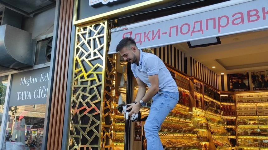 Edirne'de dükkan tabelasının arkasına sıkışan kedi yavrusunu esnaf kurtardı