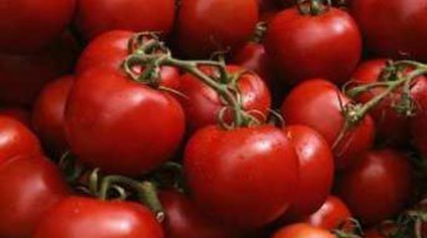 Domates &uuml;reticisini Rusya korkusu sardı