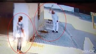 Sokak ortasında vahşet kamerada! Bastonuyla köpeği böyle öldürdü