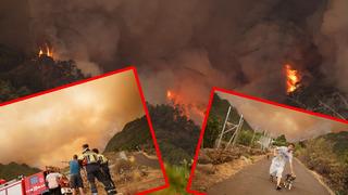 İspanya'nın Tenerife Adası cehenneme döndü! Yangın kontrol altın alınamıyor...