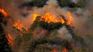 Yanan orman fotoğrafı sosyal medyanın gündeminde! Aykut Kocaman mı Çetin Tekindor mu?