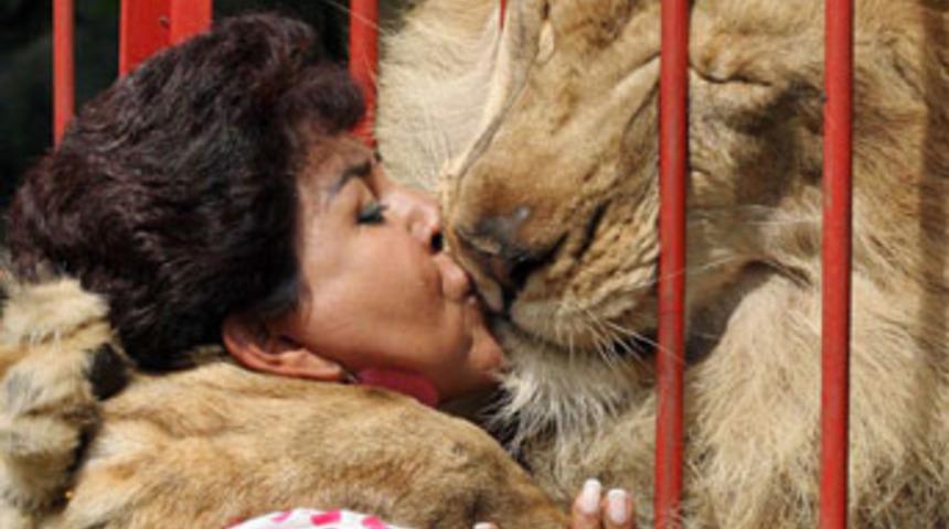 Bir aslan sizi &ouml;perse...