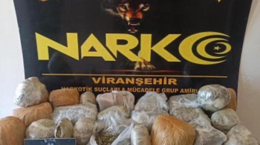 Şanlıurfa'da 26 kilo 600 gram skunk ele geçirildi