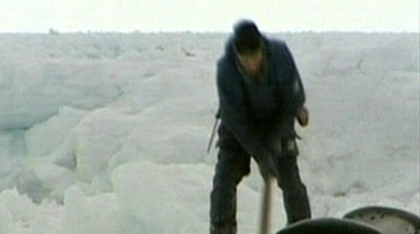 Fok katliamı başladı!