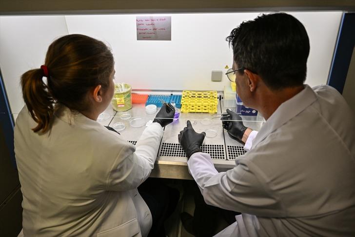 Uzayda yetiştirecekler! Türk bilim insanlarından çarpıcı çalışma... G3