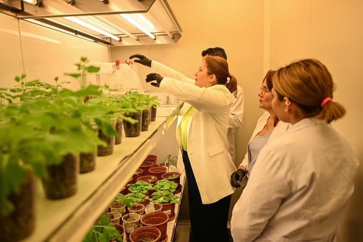 Uzayda yetiştirecekler! Türk bilim insanlarından çarpıcı çalışma... G5