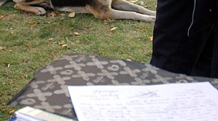 Kamp&uuml;ste k&ouml;pek gezdiren gen&ccedil;lere para cezası