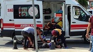 Dehşete düşüren görüntü! Yolda karşılaştılar, sonrası korkunç