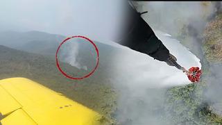 İzmir'de orman yangını çıktı! 