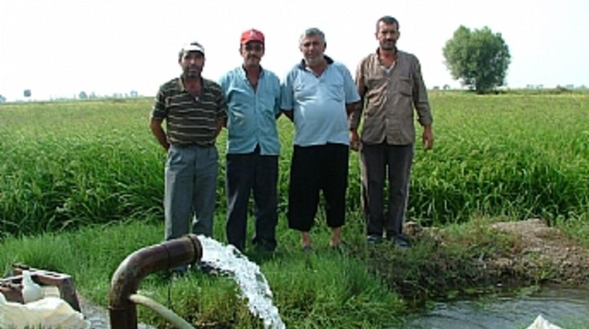Manyaslı &ccedil;eltik &uuml;reticisinin fiyat beklentisi