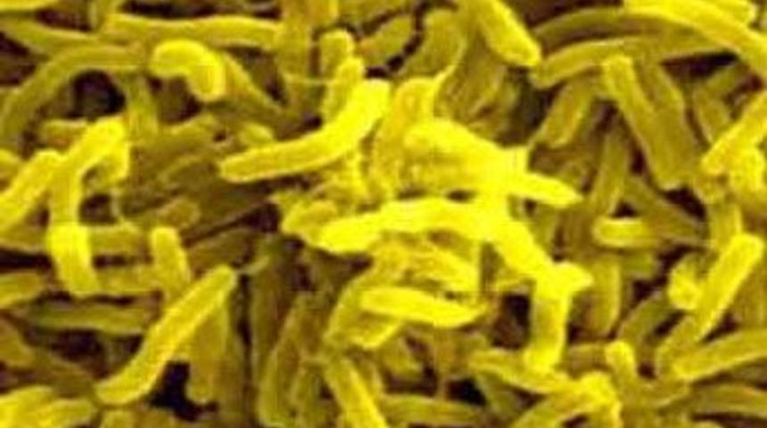 Mugabe: Kolera salgını kontrol altında