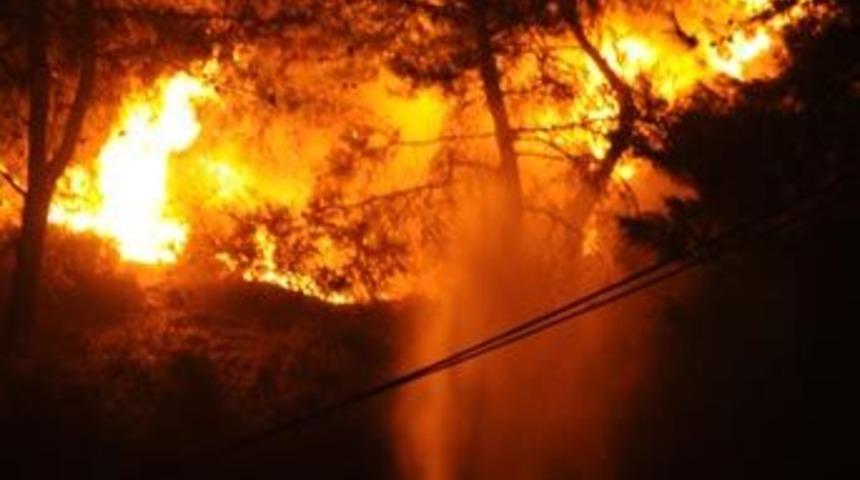 Beykoz'da orman yangını