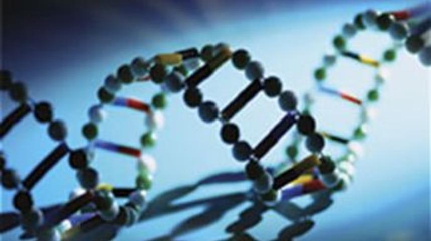 Kokain bağımlılığına neden olan gen bulundu