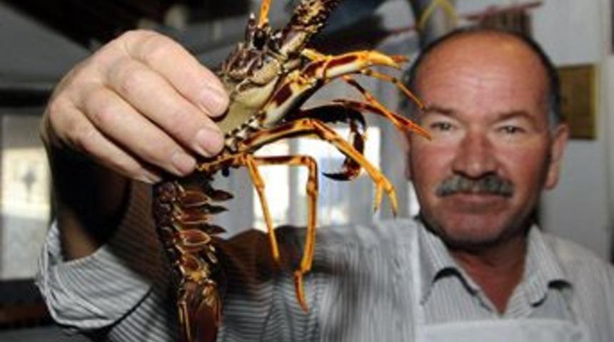 Patentli b&ouml;cek pişiricisi