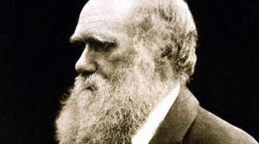 İngiltere'de şaşırtan Darwin ger&ccedil;eği