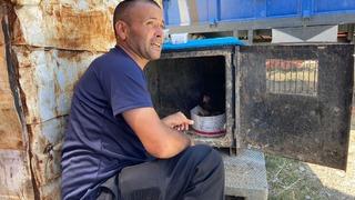 Son yılan bükücü! 47 yaşındaki Tuncay Sezer, bölge halkının efsanesi haline geldi: Herkes beni çağırıyor