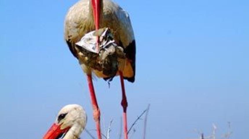 Leylek Festivali'ne geri sayım