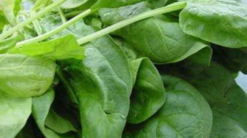 Ispanağın faydaları