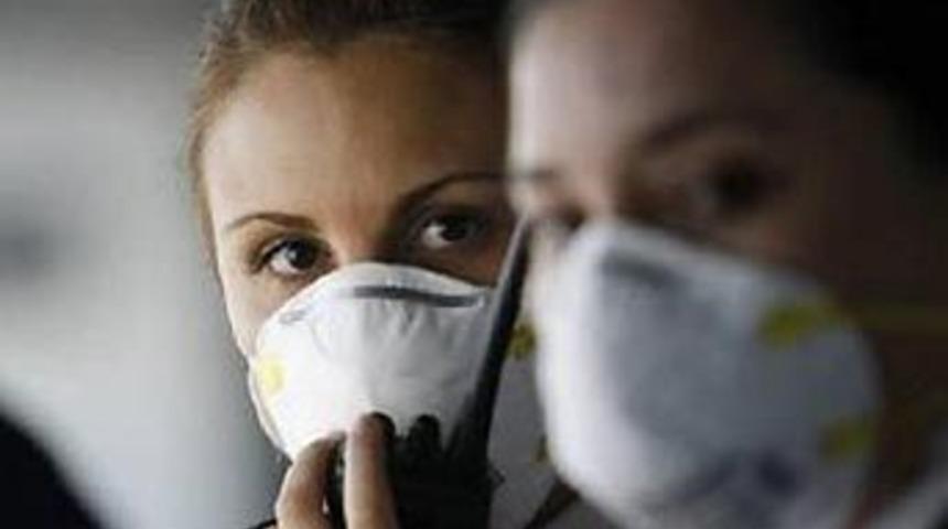 Domuz gribi yayılıyor