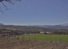 İlk kez böylesi oluyor! Ev almaya parası yetmeyen ona koştu: Toplam satışın yüzde 58’i arsa ve tarla…