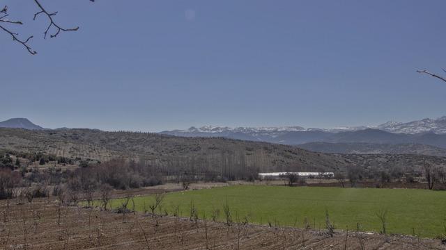 İlk kez böylesi oluyor! Ev almaya parası yetmeyen ona koştu: Toplam satışın yüzde 58’i arsa ve tarla…