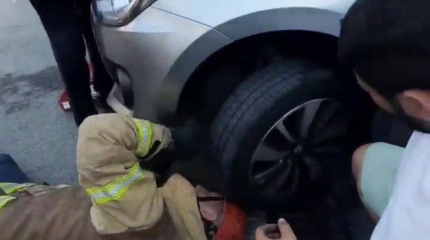 Otomobil kaputuna sıkışan yavru kediyi itfaiye kurtardı: O anlar kamerada