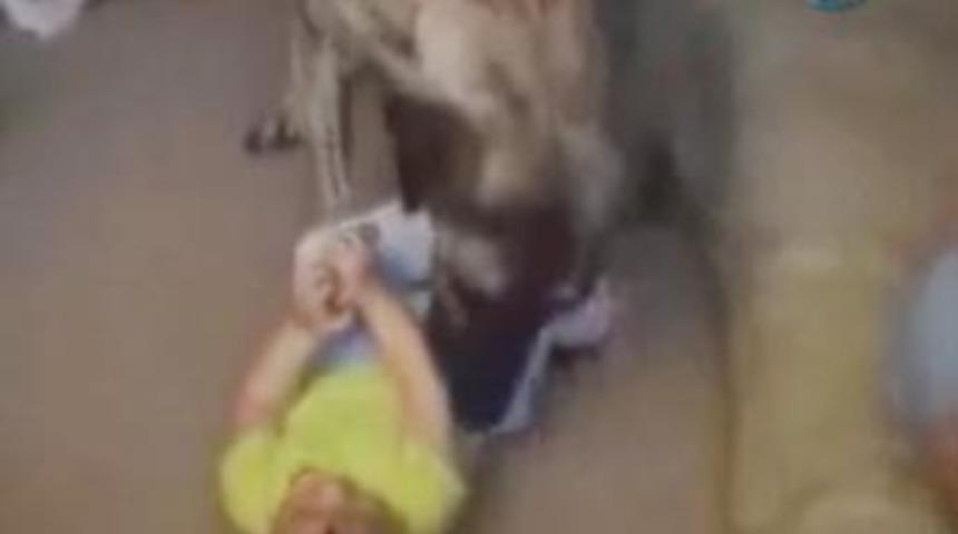 Bu dostluk g&ouml;renleri kıskandırıyor