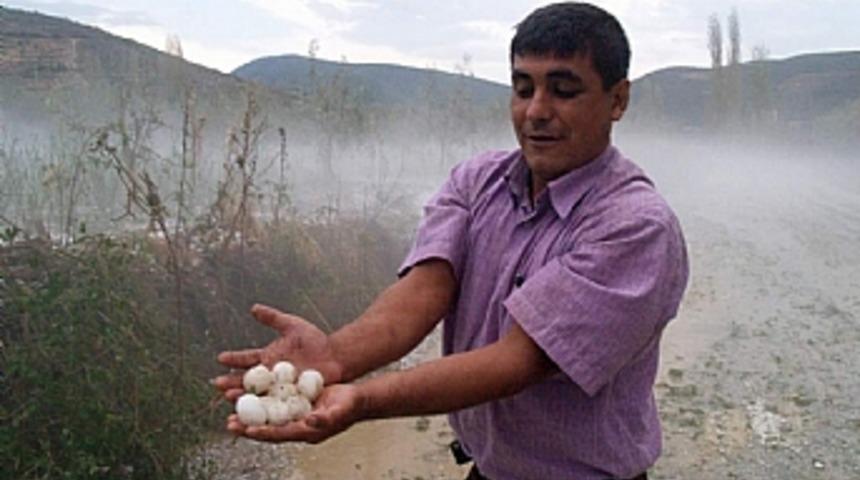 İznik'te ceviz b&uuml;y&uuml;kl&uuml;ğ&uuml;nde dolu yağdı