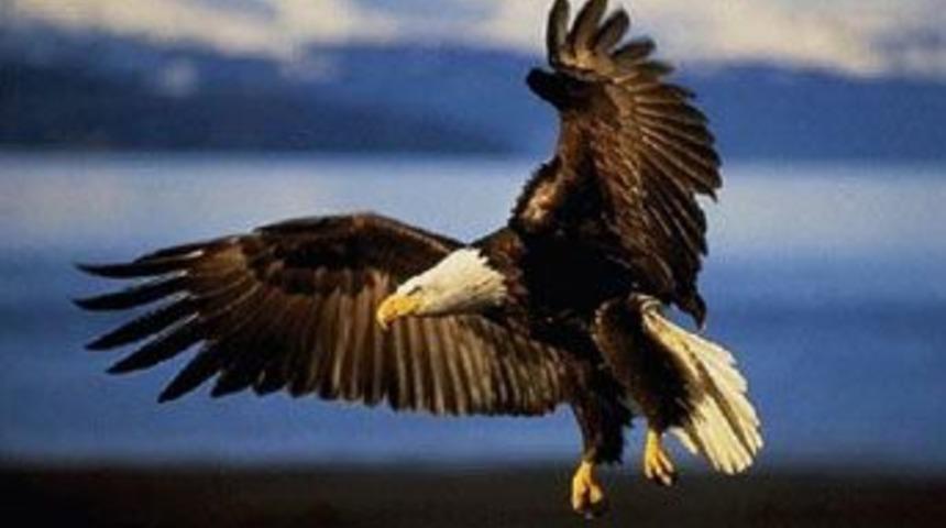 &Ouml;lmemek i&ccedil;in &ouml;ld&uuml;r!