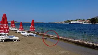 'İlk defa karşılaşıyorum' Turistik ilçeyi istila ettiler! Plajlar bomboş kaldı... Hastaneye başvurular sürüyor