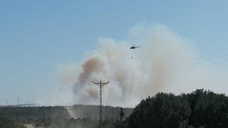 Silivri'de orman yangını! Çok sayıda itfaiye ekibi sevk edildi