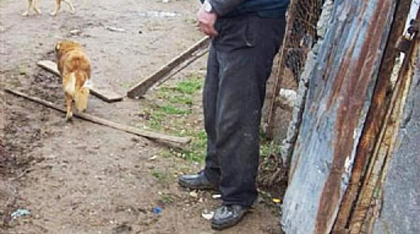 Barınaktaki k&ouml;peklerin &ouml;l&uuml;me terk edildiği iddiası 