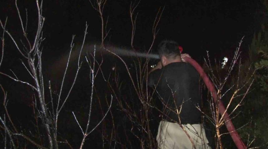 Pendik’te ormanlık alanda yangın