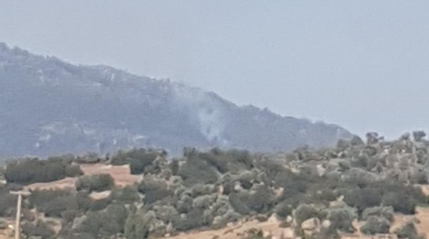 Çine’de orman yangını, müdahale sürüyor