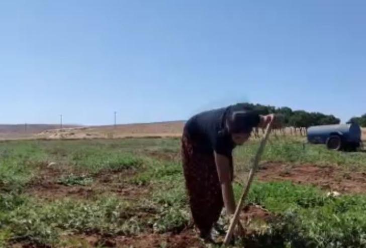 Köyün 'hanımağası' Helin Ekici tıp öğrencisi oldu! Tarlada erkeklere taş çıkartıyor G1