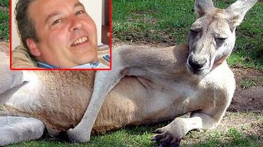 Ninja sandı, kanguru &ccedil;ıktı