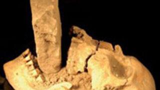 Mezardan vampir çıktı