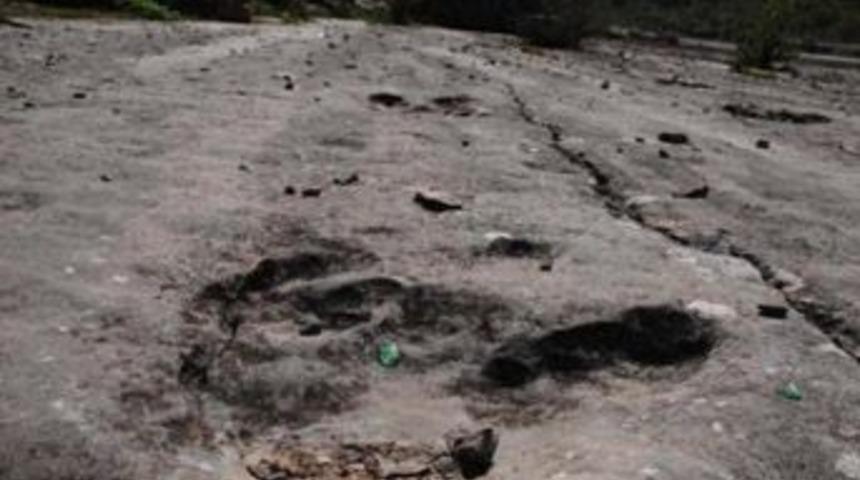 145 milyon yıllık ayak izi