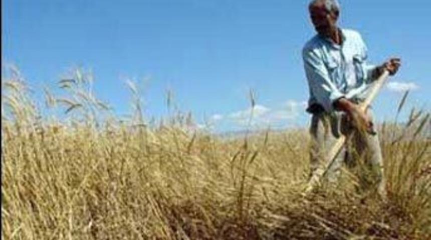 G&uuml;bre ve mazot desteği artırıldı