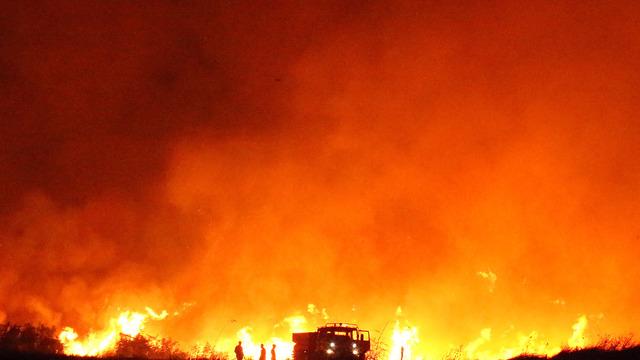 Son dakika | Çanakkale büyük orman yangını! Alevler hızla yayıldı, köyler ve üniversite kampüsü tahliye edildi
