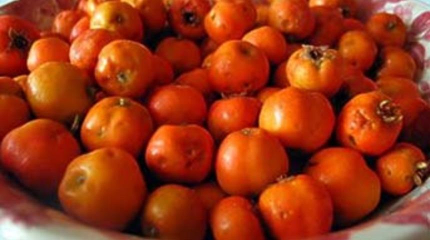 Her derde deva meyve: Alı&ccedil;