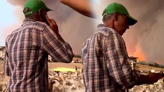 Yangın bölgesinden telefon açıp ısrarla uyardı: Çanakkale'den yürek burkan görüntüler! Bırakın yanarsa yansın