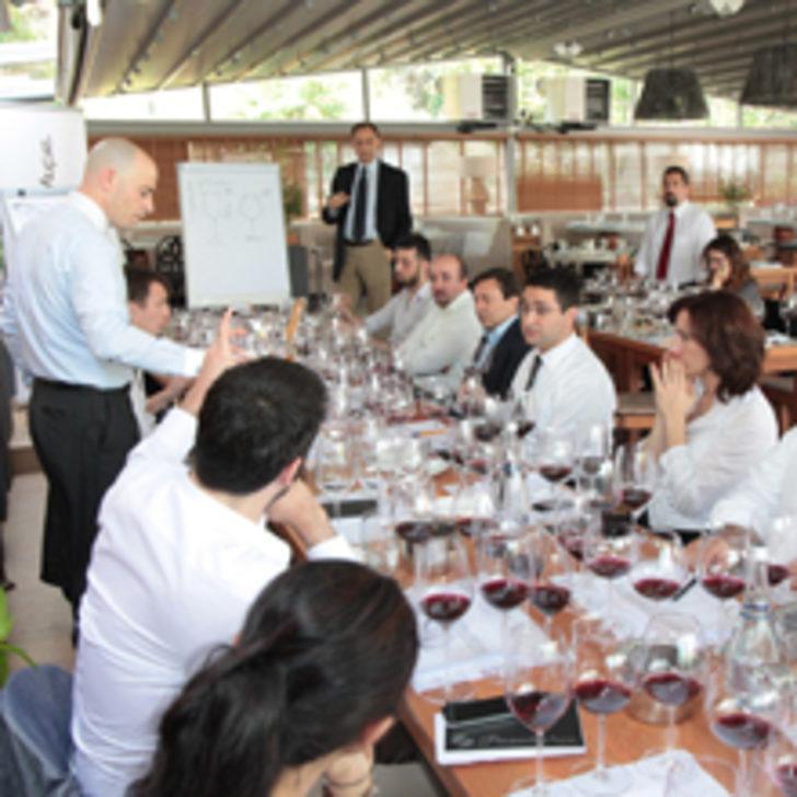 T&uuml;rk Şarapları Kadehini Kaldırıyor