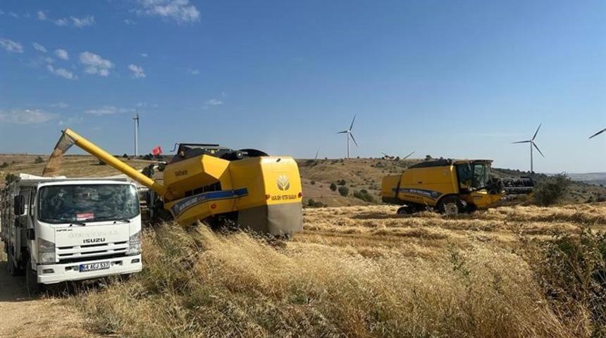 Uşak’ta tritikale üretiminden olumlu sonuç alındı