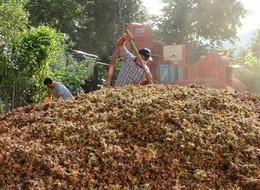 Saatlik ücretleri 2 bin TL! Yılda sadece 1,5 ay çalışıyorlar... 'Fiyatlarda oynamak zorunda kaldık, daha uyguna çalışıyoruz'