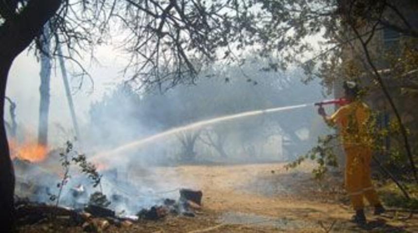 Yanan ormanlar kiraya verilmiyor