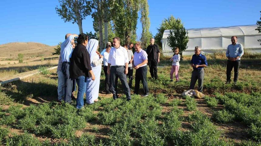 Vali Eldivan Aslandede ve Yedigözeler köylerini ziyaret etti