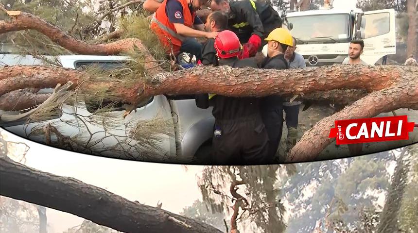 SON DAKİKA | Türkiye'nin ciğerleri yanıyor! Çanakkale'deki orman yangınında kötü haber... Etkisini artırıyor! Jandarmadan kahreden anons